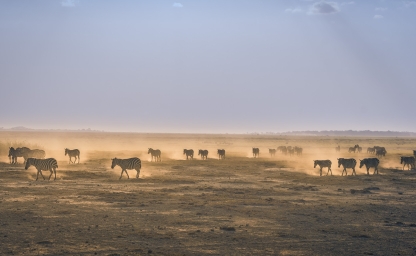 OpenStack to OpenStack Migration - User Migration