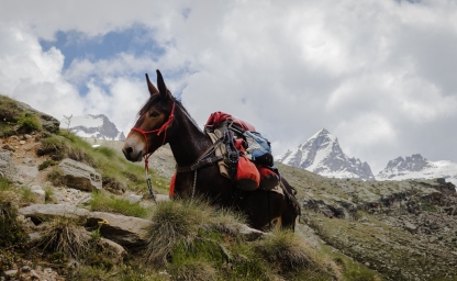 OpenStack to OpenStack Migration - Preparation